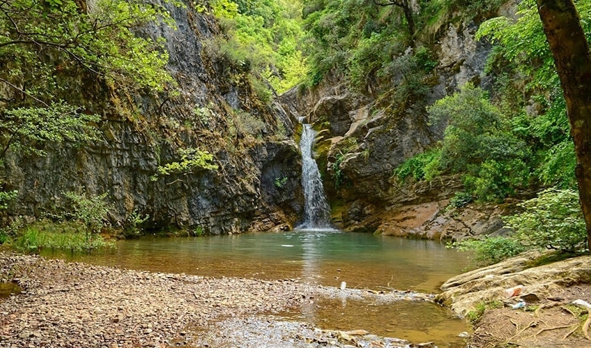 Web Sitemiz Yenilendi
